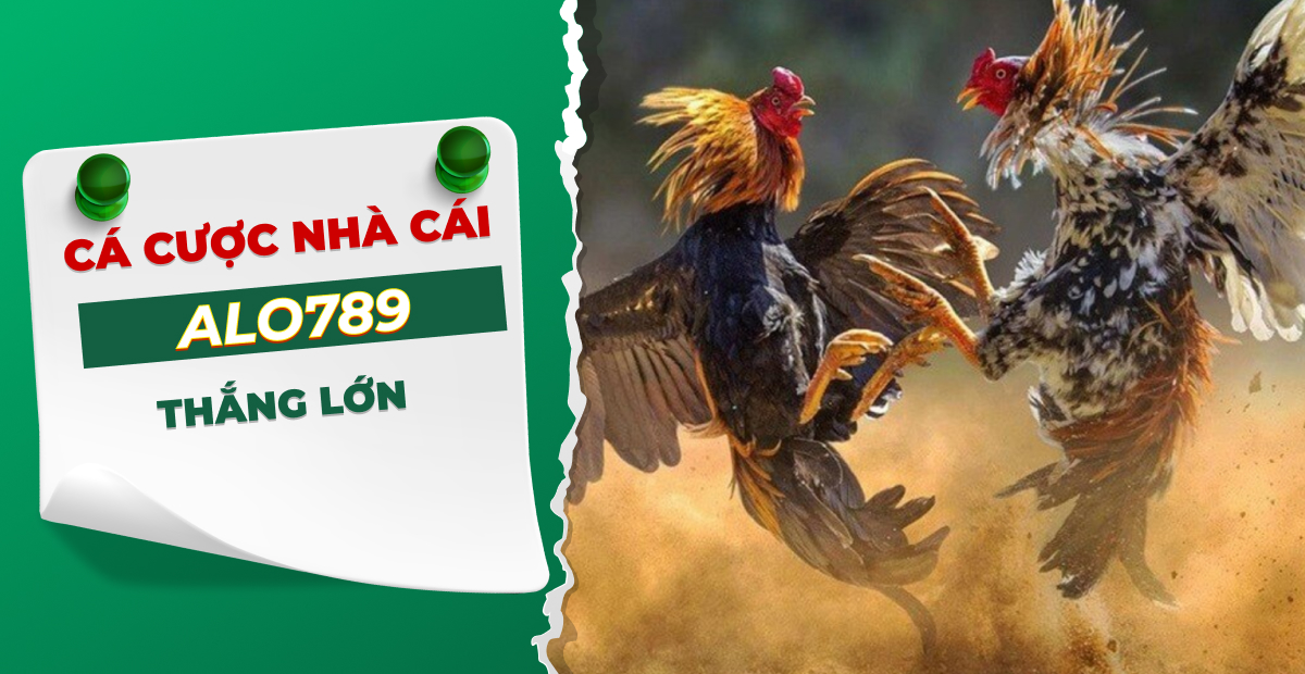 ALO789 - Nhà Cái ALO 789 - Trang Chủ Cá Cược Casino Trực Tuyến Số 1 Châu Á 8 ALO789 - Nhà Cái ALO 789 - Trang Chủ Cá Cược Casino Trực Tuyến Số 1 Châu Á